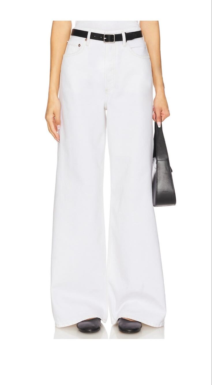 NWT AGOLDE DAME HIGH RISE WIDE LEG JEANS